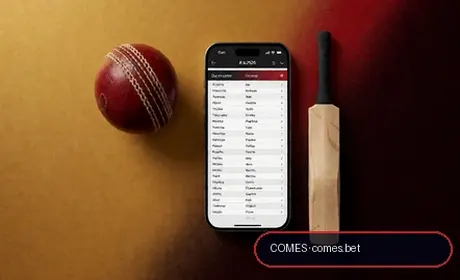 Fantasy cricket picks, captain calls, and sharper matchday strategy